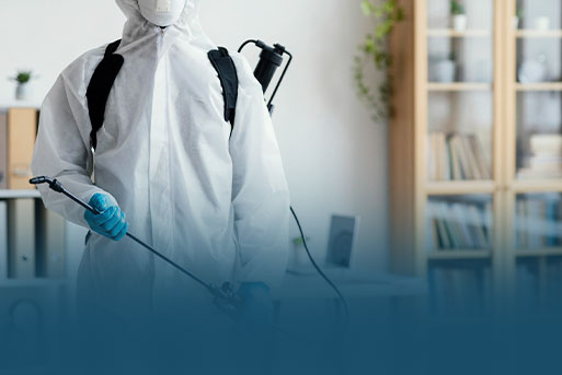 Safe & Effective Pest Control Methods